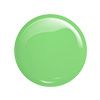 GEL POLISH 421 Lady Green - VICTORIA VYNN